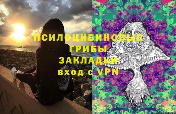 сатива Балахна