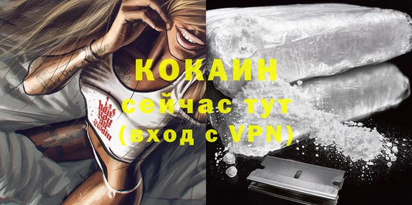 дживик Баксан