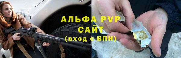 сатива Балахна