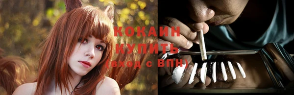 сатива Балахна