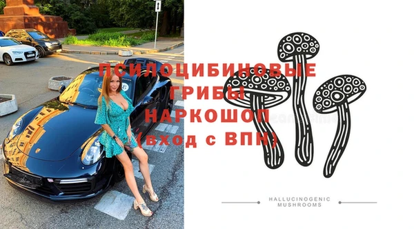 дживик Баксан