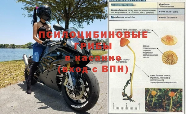 марки lsd Балабаново