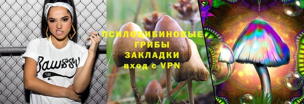 дживик Баксан