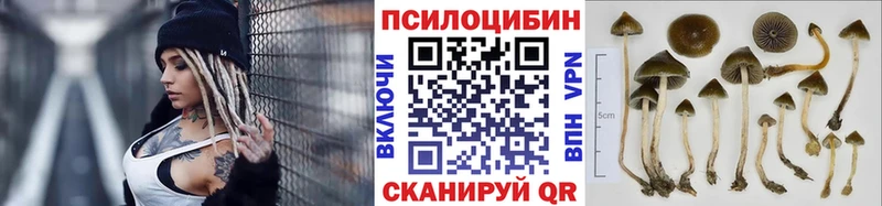Галлюциногенные грибы ЛСД  Светлоград 